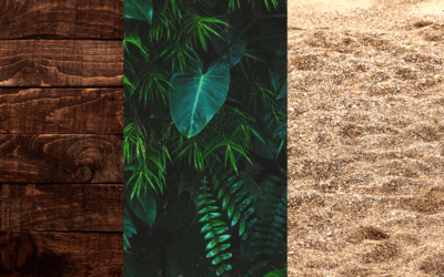 Top Autumn 2025 Interior Trends